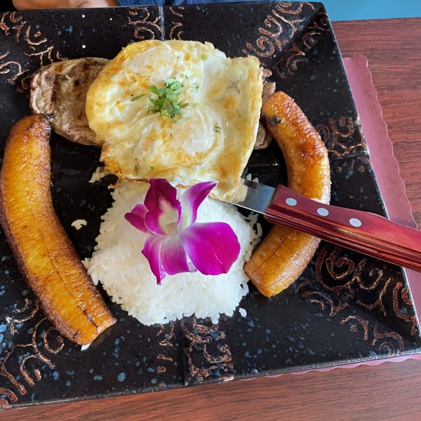 Peruvian breakfast with fried egg, plantains, rice, and a purple orchid on a decorative plate.